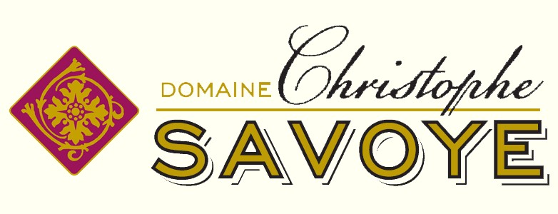 Achat de vin Chiroubles et Morgon - Domaine Christophe Savoye
